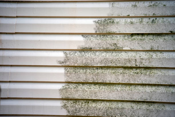 Best Historical Building Siding Restoration  in Parrish, AL
