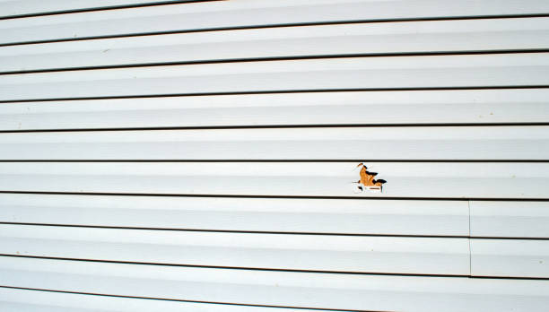 Best Siding for New Construction  in Parrish, AL